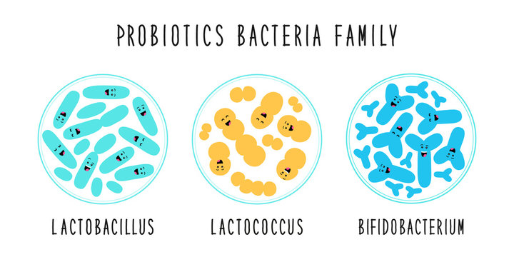 probiotic